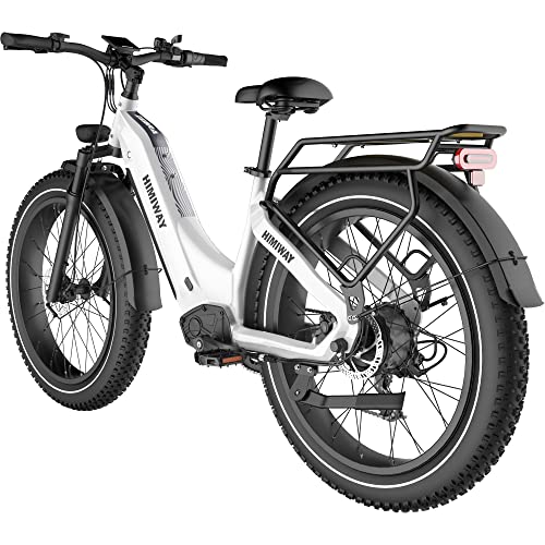 Himiway Zebra Step-Thru Fat Tire Electric Bike