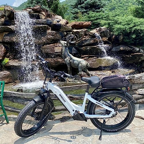 Himiway Zebra Step-Thru Fat Tire Electric Bike