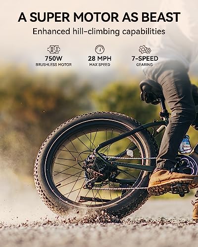 Heybike Brawn 750W Fat Tire Electric Bike