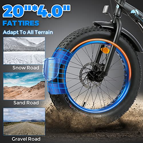 ECOTRIC Dolphin 20" Folding Electric Bike 