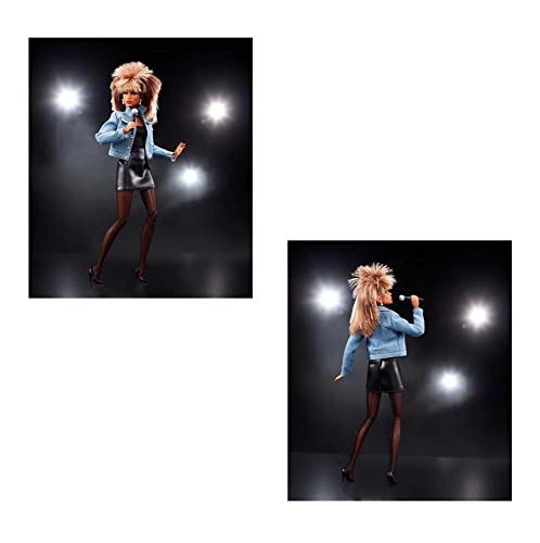 Tina Turner Barbie Doll: ‘90s Fashion and Accessories