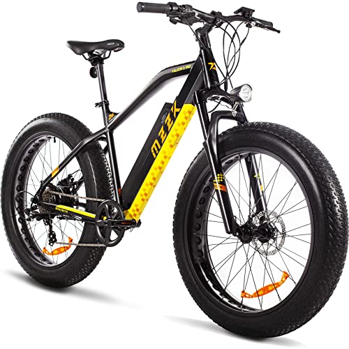 GOGOAL 750W 48V 13AH E-Bike with Fat Tire