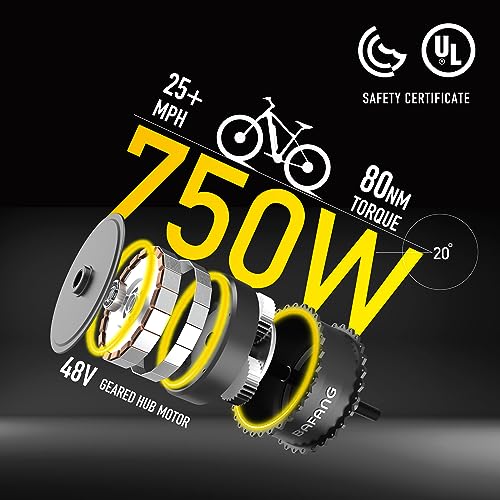 GOGOAL 750W 48V 13AH E-Bike with Fat Tire