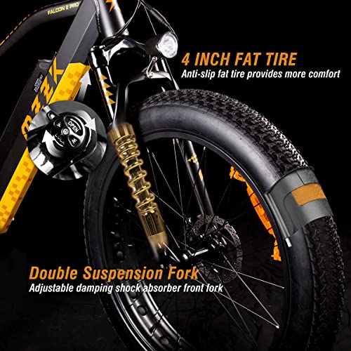 GOGOAL 750W 48V 13AH E-Bike with Fat Tire