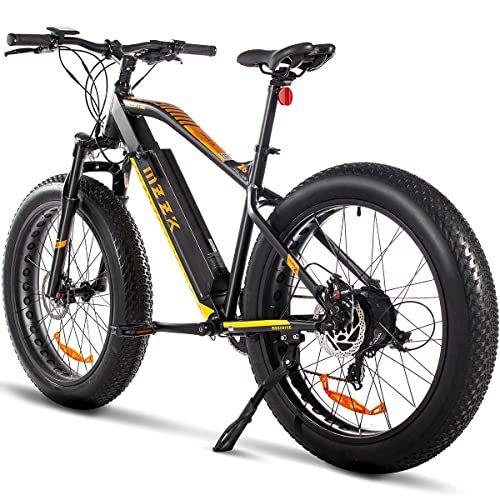 GOGOAL 750W 48V 13AH E-Bike with Fat Tire