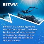 Emergen-C Immune+ Vitamin C Powder – 50 ct