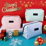 Compact Travel Makeup Bag for Purse (Pink)