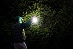 2-Pack 360 LED Lanterns with Magnetic Base