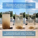 Portable Water Purifier Packets for Emergencies (12 Pack)
