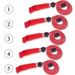 Loud Emergency Whistle 5-Pack for Survival