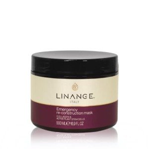 LINANGE Repair Mask for Severely Damaged Hair