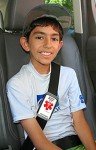 Medical ID Seatbelt Cover for Emergencies & Allergies