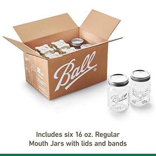 Ball Honeybee Mason Jars with Lids and Bands