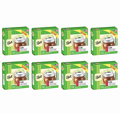 96 Ball Mouth Mason Jar Canning Lids Silver