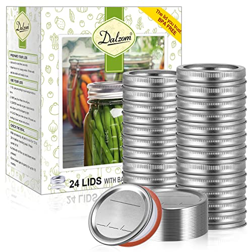 48Pcs Dalzom® Regular Mouth Canning Lids with Rings