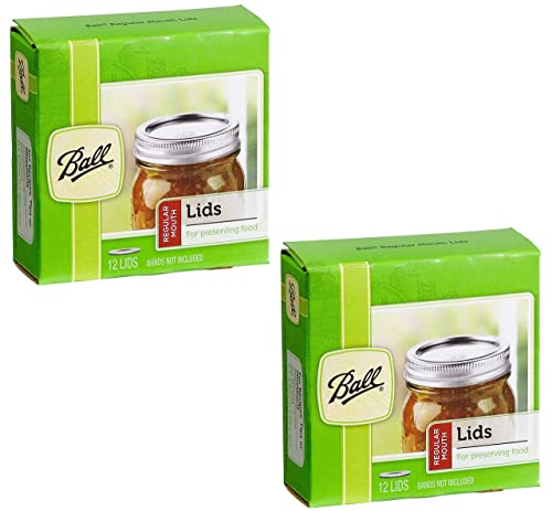 24-Pack Ball Regular Mouth Mason Jar Lids, Silver