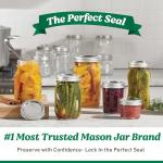 Ball EasyCanner Electric Canning System