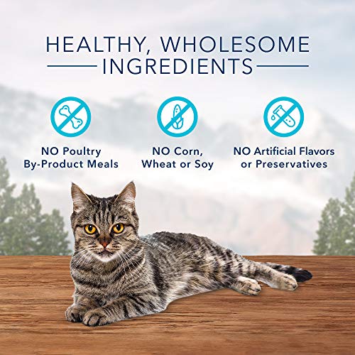 Blue Buffalo Soft-Moist Cat Treats - Chicken & Turkey