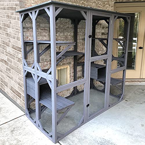 Large Walk-in Cat Kennel with Platforms and Houses