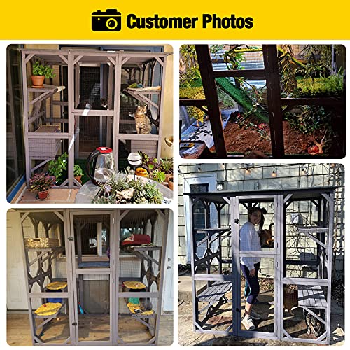Large Walk-in Cat Kennel with Platforms and Houses
