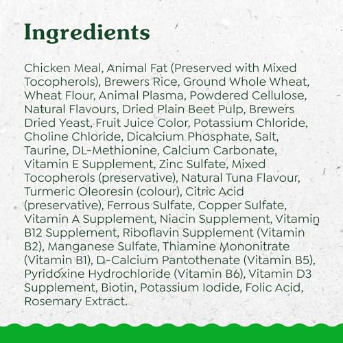 Indoor Tuna Treats for Cats