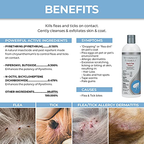 Flea and Tick Shampoo for Cats, 16 oz