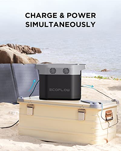 ECOFLOW DELTA 1300 Solar Generator