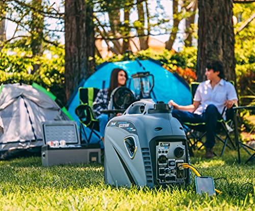 Pulsar G2319N 2,300W Portable Gas-Powered Inverter Generator with USB Outlet & Parallel Capability, CARB Compliant, Gray