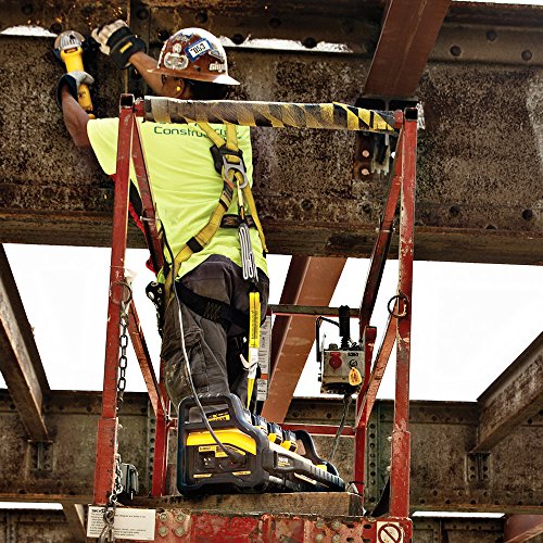 DEWALT FLEXVOLT Power Station with Charger (4 Batteries)