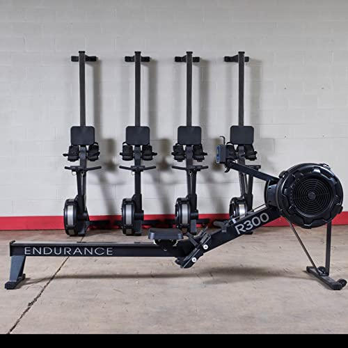 Body-Solid Endurance R300 Air Resistance Rower