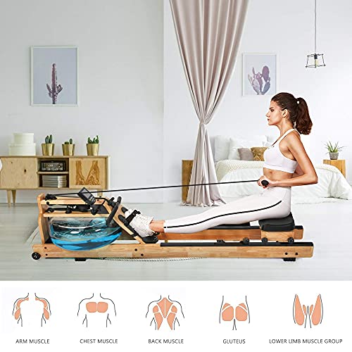 Koreyosh Water Resistance Rowing Machine