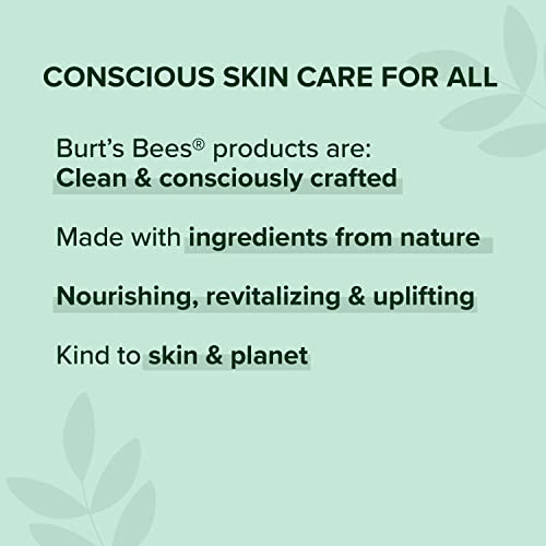 Burt's Bees Blush Lip Shine for Women
