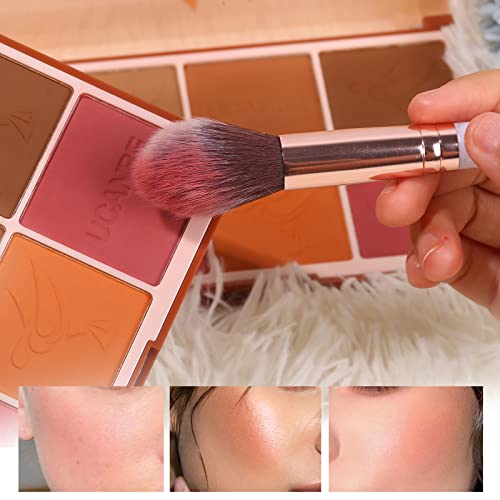 8-Color Matte Blush Palette with Brush