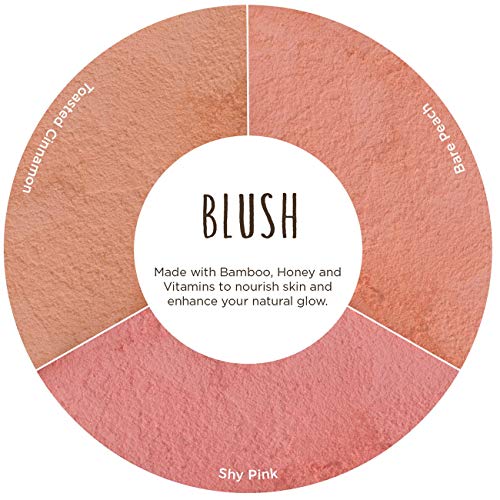 Burt's Bees Natural Blush with Vitamin E - Shy Pink