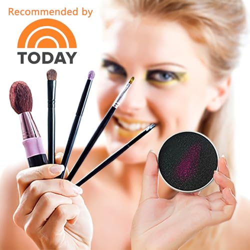 TailaiMei Color Removal Sponge: Instantly Clean Makeup Brushes