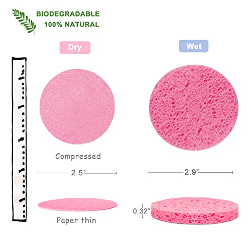 50-Pack Compressed Facial Sponges, Gentle Exfoliating Spa Sponge