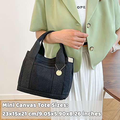 MINGRI Small Canvas Tote Bag for Women with Pockets