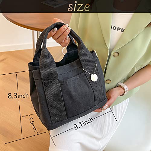 MINGRI Small Canvas Tote Bag for Women with Pockets