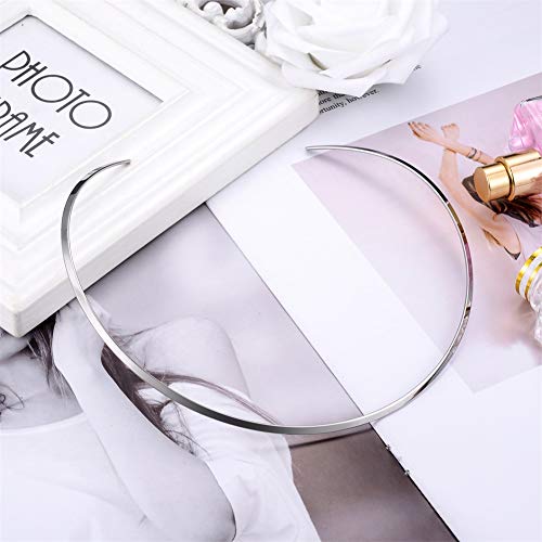 Silver Stainless Steel Choker Necklace for Women