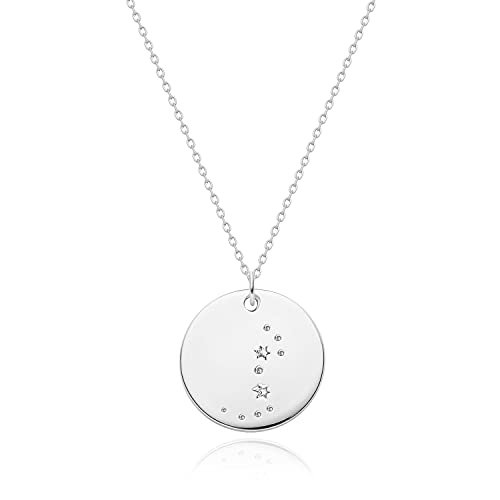 Zodiac Scorpio Coin Disc Dainty Silver Necklace