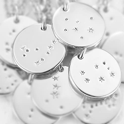 Zodiac Scorpio Coin Disc Dainty Silver Necklace