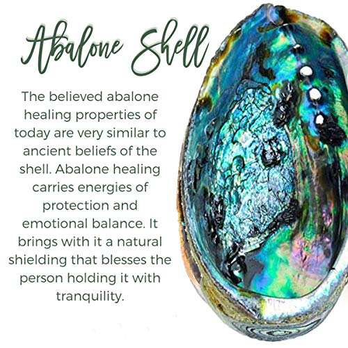 Abalone Teardrop Necklace - Handmade Silver Tree of Life