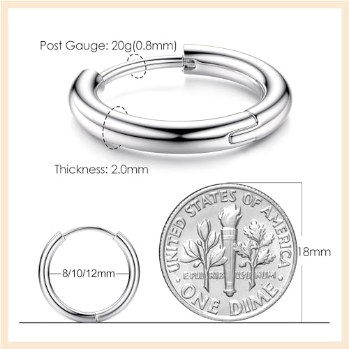 Titanium Hoop Earrings G23 Hypoallergenic Small Huggies