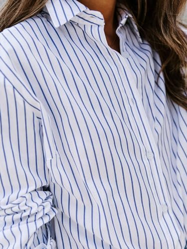 Blue and White Striped Long Sleeve Button Down Blouse