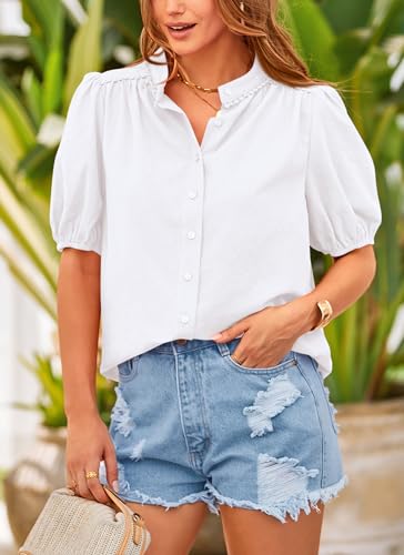 PRETTYGARDEN Women's Summer V-Neck Lantern Sleeve Top