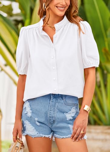 PRETTYGARDEN Women's Summer V-Neck Lantern Sleeve Top