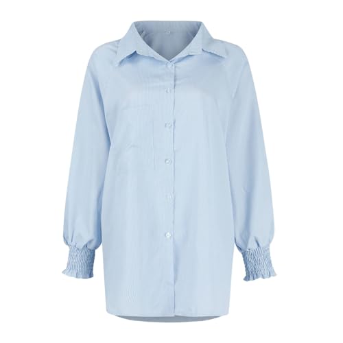 Light Blue Striped Long Sleeve Women's Blouse