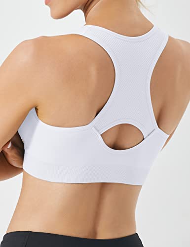 FITTIN Pack of 3 Padded Racerback Sports Bras