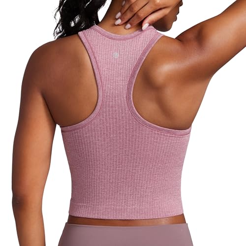 Seamless Ribbed Longline High Neck Sports Bra