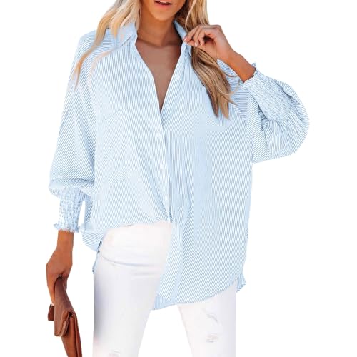 Light Blue Striped Long Sleeve Women's Blouse